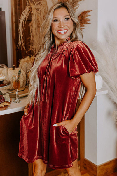 Cinnamon Brown Velvet Dress with Pockets and Smocked Neckline